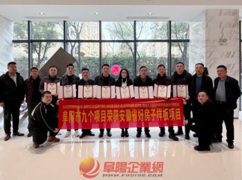 阜陽市房地產(chǎn)業(yè)協(xié)會召開2025年度安徽省“好房子”頒獎會議