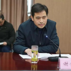 謝金明出任金種子集團黨委書記，提名集團董事長