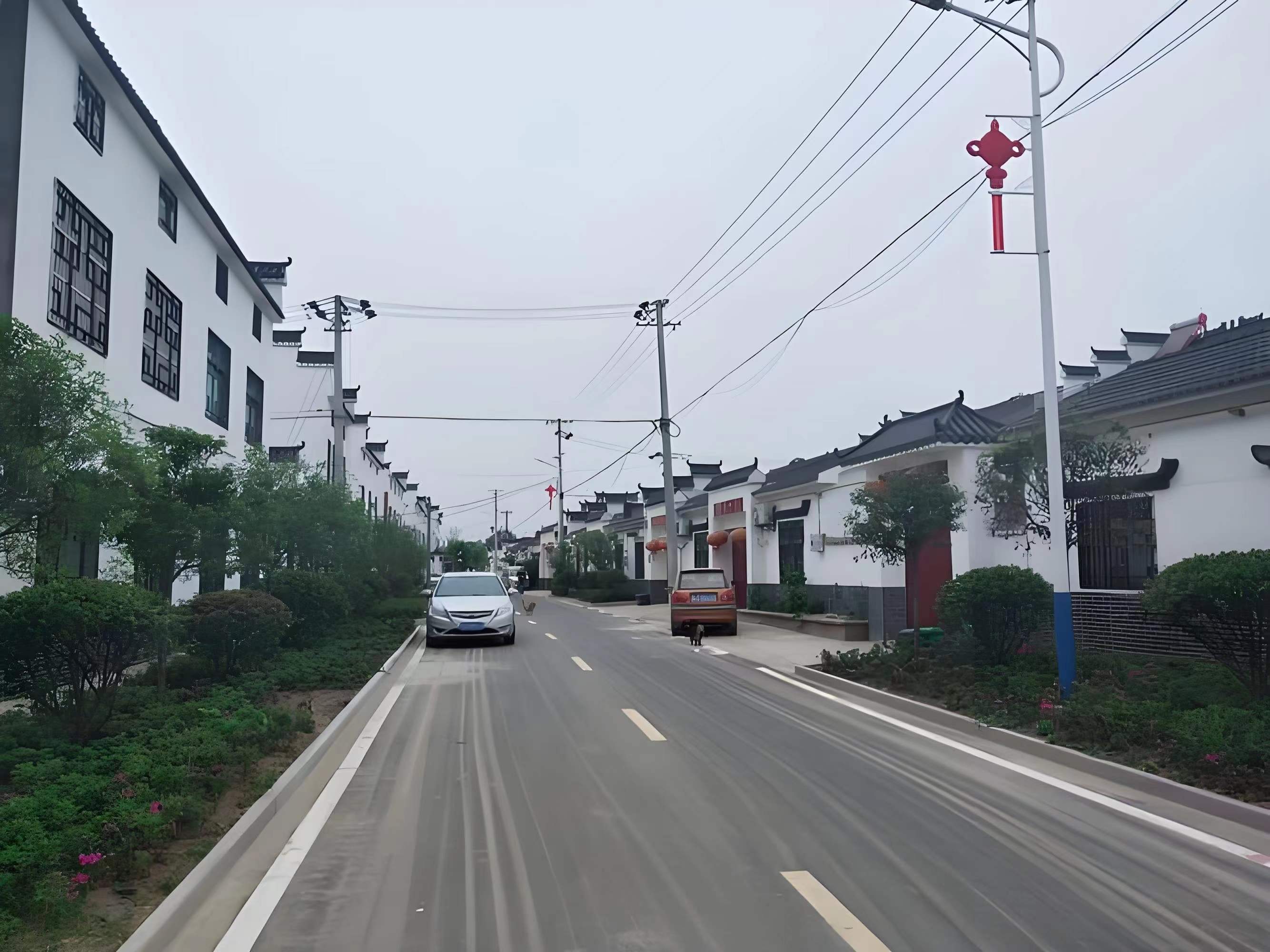 傳承紅色基因，續(xù)寫潁上黃壩發(fā)展新篇章