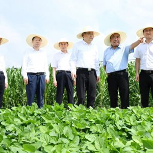 梁言順在阜陽(yáng)市調(diào)研時(shí)強(qiáng)調(diào) 堅(jiān)持多種糧種好糧全力保障國(guó)家糧食安全 加快皖北地區(qū)全面振興步伐 ...