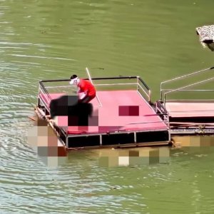 馬上評(píng)｜蹦極不是玩命，景區(qū)安全之繩絲毫松不得